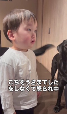 ママに叱られていると…