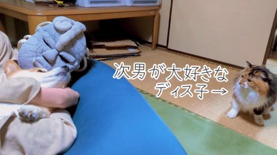 スティーブさんと次男くんの添い寝7