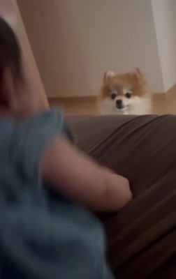 ピョンピョンする赤ちゃん