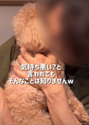 思わず心が温まる