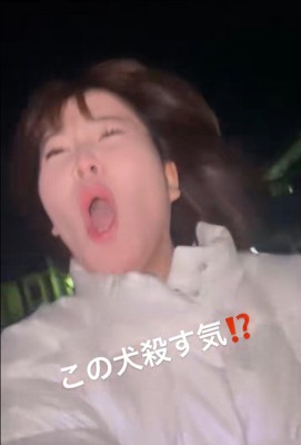 飼い主さんは辛そう（笑）