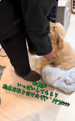 嬉しそうなかんくろう君