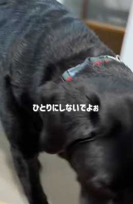 「一緒がいいんだってばぁ」