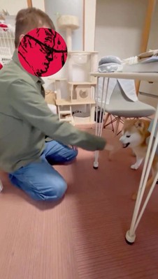 男性にガウガウと声をあげる犬