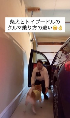 「でも抱っこはいやっ」