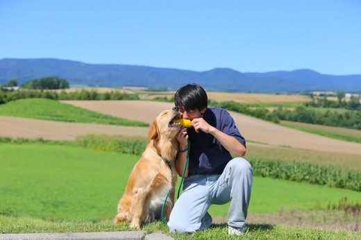 飼い主とトウモロコシを食べる大型犬
