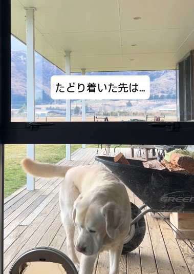 2頭が出した答えは…