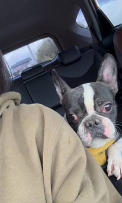 幸せで溢れますように