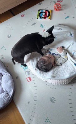 こんぶちゃんと赤ちゃん2