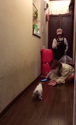 子犬が現れるサプライズ!