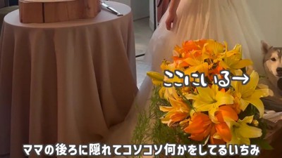 テーブルをひっくり返した！