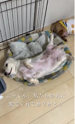 これからは幸せな毎日が待ってるよ