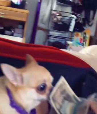 「はい！ちゃんと渡したよ！」