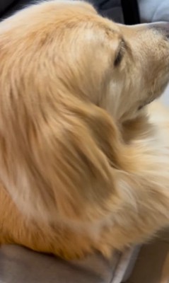 金髪サラサラヘアーのひなた君3