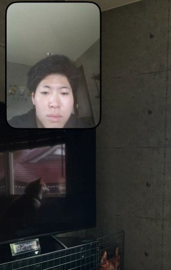 帰省したけど…