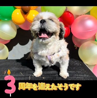 笑顔のぽてりちゃん