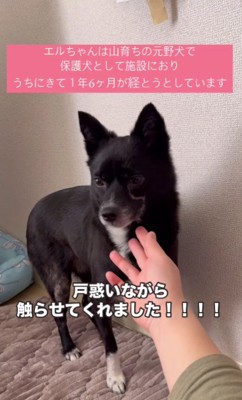 触らせてもくれた