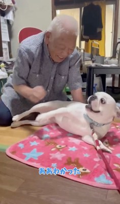 まんざらでもないおじいちゃん