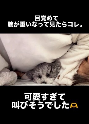 この時間がずっと続けばいいのに…