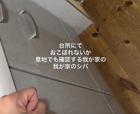 視線を感じて…