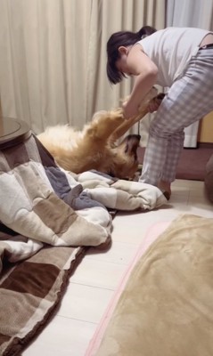 やる気が出ない