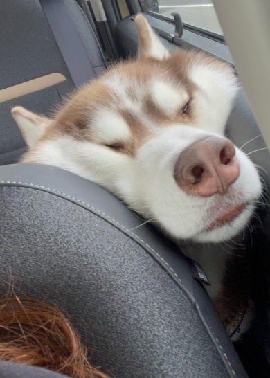 ムニムニ顔にキュン♡