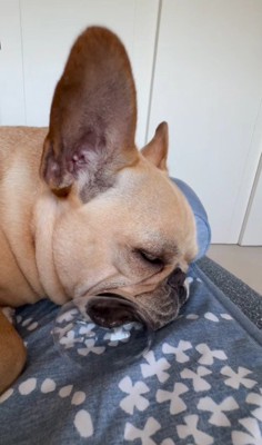 口からちょうちんが…！