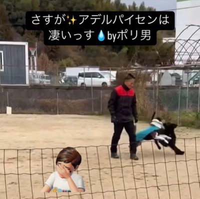 訓練中に乱入するポリくん9