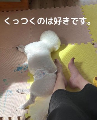 ぶんちゃんのスキンシップ方法