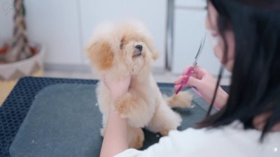 赤ちゃんみたいにイヤイヤ