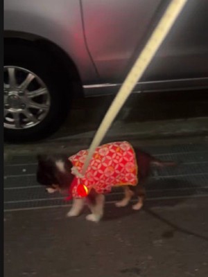 ギリギリ外側を歩くも…