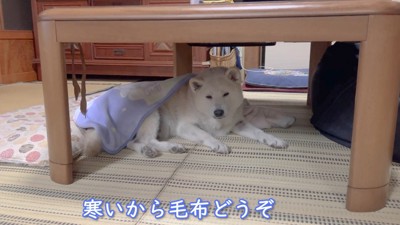 穴倉みたいで落ち着く…