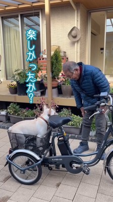犬に電動式三輪車の乗り心地を尋ねる年配男性