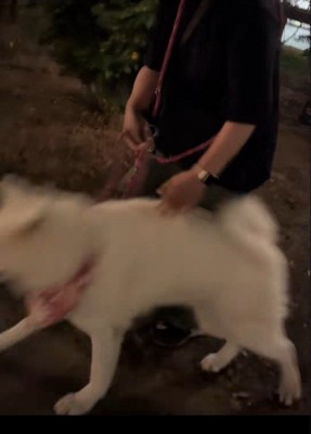 看板から離れると…