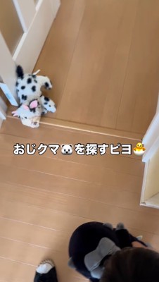 周囲を見ながら廊下を歩く男の子