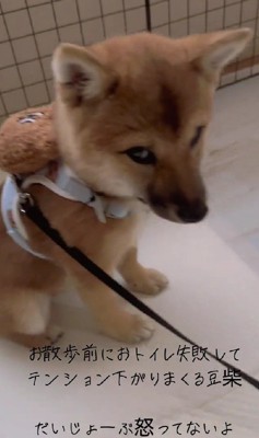 不覚極まりない…