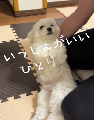 別々で寝ようとしたら…