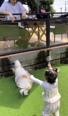 両手を広げながら、テラスで休憩する男性に近寄る女の子