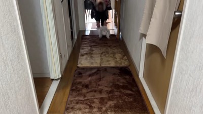 一目散におばあちゃんの元へ！！