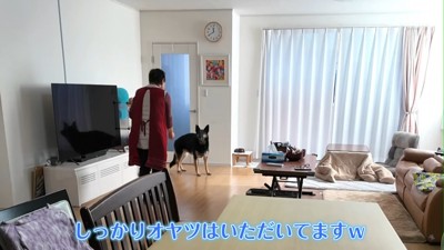 「お父さん、どこ～！」