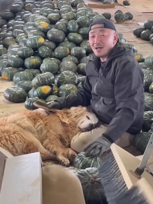 癒し担当のミントくんでした！