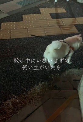 気付かずにUターン！