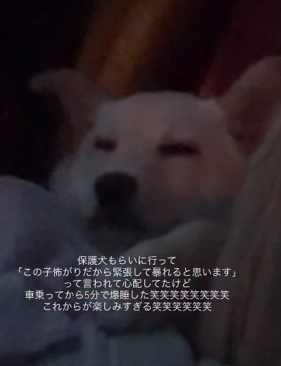 5分でスヤスヤ寝ちゃった♡