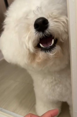 「もう!閉めないで!!」