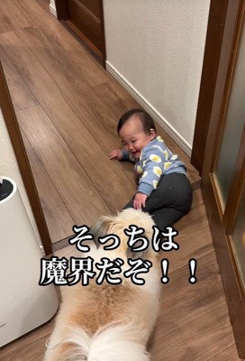 赤ちゃんを守る小太郎くん7