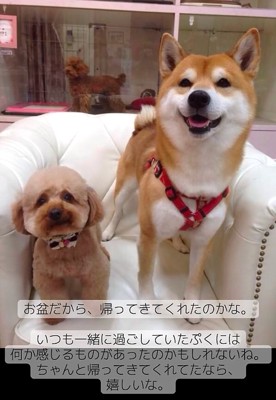 並んで座る2匹