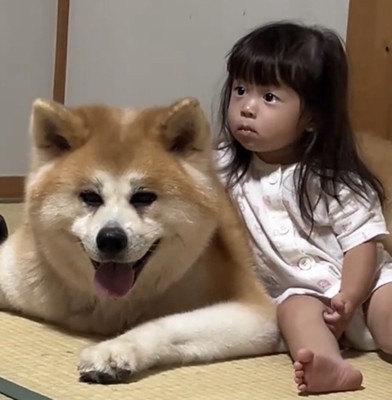 仲良く並ぶ犬と子ども