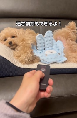 リモコンボタンを押す