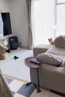 警戒する小次郎くん