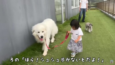 「いくよ、シュシュ！」